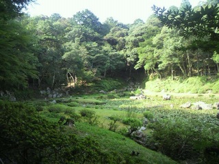 2014081315550000.jpg